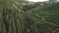 Autumn green pine forest at mountain aerial. Nature landscape. Birds fly over fir tree tops Royalty Free Stock Photo