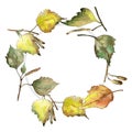 Autumn green and yellow birch leaves. Leaf plant botanical garden floral foliage. Frame border ornament square.