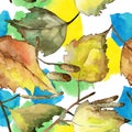 Autumn green and yellow birch leaves. Leaf plant botanical garden floral foliage. Seamless background pattern. Royalty Free Stock Photo