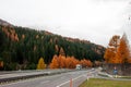 Autumn green and yellow forest over highway