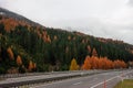 Autumn green and yellow forest over highway