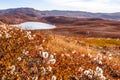 Autumn greenlandic orange tundra landscape with lakes and mountains in the background, Kangerlussuaq, Greenland