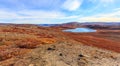 Autumn greenlandic orange tundra landscape with lakes and mountains in the background, Kangerlussuaq