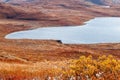 Autumn greenlandic tundra plants with lake in the background, K