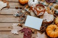 Autumn greeting card mock up. Blank card with pumpkin, autumn leaves, pine cone.