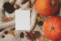 Autumn greeting card mock up, flat lay. Blank card on sweater with pumpkin, autumn leaves, pine cone, anise, acorns on white wood