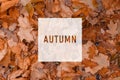 AUTUMN, greeting text on colorful fall leaves background. AUTUMN text. Word Autumn. Creative nature concept Royalty Free Stock Photo