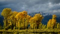 Autumn in the Gros Ventre River Valley