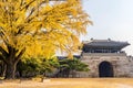 Autumn in Gyeongbukgung Palace,Korea Royalty Free Stock Photo