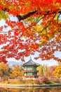 Autumn in Gyeongbukgung Palace,Korea Royalty Free Stock Photo