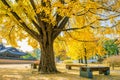 Autumn in Gyeongbukgung Palace,Korea. Royalty Free Stock Photo