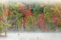 Autumn Hall Lake in Fog with Great Blue Heron Royalty Free Stock Photo