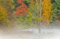 Autumn Hall Lake in Fog with Great Blue Heron Royalty Free Stock Photo