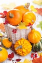 Autumn halloween decorative pumpkins in basket