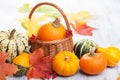 Autumn halloween decorative pumpkins in basket