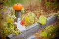 Autumn halloween pumpkin and ghost figure on the wooden fence