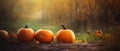 Autumn Halloween pumpkins. Orange pumpkins over nature background pumpkin on grass Generative AI Royalty Free Stock Photo