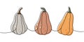 Autumn halloween pumpkins. Pumpkins set one line colored continuous drawing. Autumn halloween vegetables continuous one