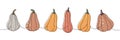 Autumn halloween pumpkins. Pumpkins set one line colored continuous drawing. Autumn halloween vegetables continuous one