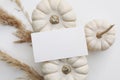 Autumn, Halloween stationery still life. Closeup of blank business card mockup over little white pumpkins and blurred Royalty Free Stock Photo