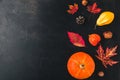 Autumn, Halloween or Thanksgiving composition made of autumn leaves, flowers, pumpkin on black background. top view
