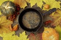 Autumn Halloween or thanksgiving day table setting. Fallen leaves, pumpkins, rowan berries, empty pan on wooden table Royalty Free Stock Photo