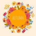 Autumn. Hand drawn illustration with gerberas and herbs