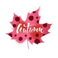 Autumn. Hand drawn lettering on maple leaf.