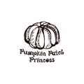 Autumn hand drawn pumpkin with lettering isolated on white