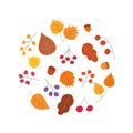 Autumn hand drawn set, tree leaves, berries.Collection of simple botanical shapes. Acorns, currants, mountain ash, viburnum, oak,