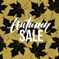 Autumn hand written lettering. Golden, black and white color. Fall sale banner design.