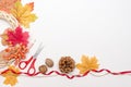 Autumn handmade: dried leaves and flowers, pine cone and plants on white background. Top view. Flat lay. copy space Royalty Free Stock Photo