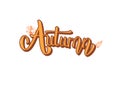 Autumn handwritten lettering with decoration. Vector illustration. Royalty Free Stock Photo