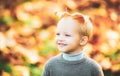 Autumn happy child have fun and playing with fallen golden leaves. Cute little boy enjoy autumn nature has happy face Royalty Free Stock Photo