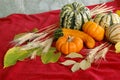 Autumn Harvest Royalty Free Stock Photo