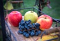 Autumn harvest. Apple, grapes and yellow leaves on the wooden tray, outdoor Royalty Free Stock Photo