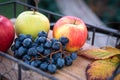 Autumn harvest. Apple, grapes and yellow leaves on the wooden tray, outdoor Royalty Free Stock Photo