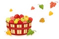 Autumn harvest with apples in basket