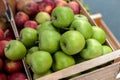 Autumn harvest of apples, sale of seasonal goods at the street fair. Royalty Free Stock Photo