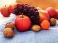 Autumn harvest, apples, walnuts, grapes, fizalis on a blue towel