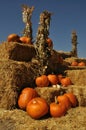 Autumn Harvest Royalty Free Stock Photo