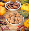 Autumn harvest - Autumn fruitage Royalty Free Stock Photo