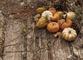 Autumn Harvest Background on Weathered Wood