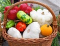 Autumn harvest in basket Royalty Free Stock Photo