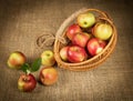 Autumn harvest, a basket with bright apples on a background of burlap