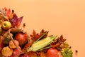 Autumn harvest in basket, pumpkins, apple, corncob, colorful leaves. Thanksgiving Day mock up. View from above. Royalty Free Stock Photo