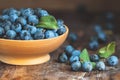 Autumn harvest blue sloe berries on a wooden table background. D