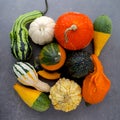 Autumn harvest bright decorative pumpkins. Top view. Flat lay.