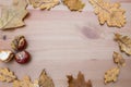 Autumn harvest. chestnuts and leaves on a light recycled wooden background, Top view2