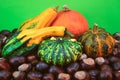 Autumn harvest. Composition of decorative pumpkins on a green background
